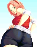 sakura.jpg